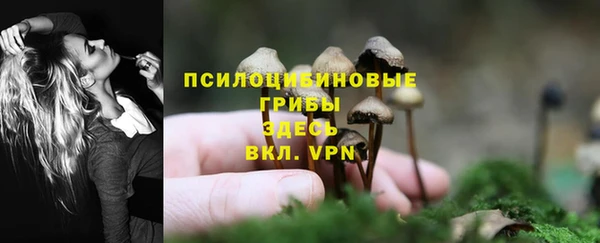 соль ск Абдулино