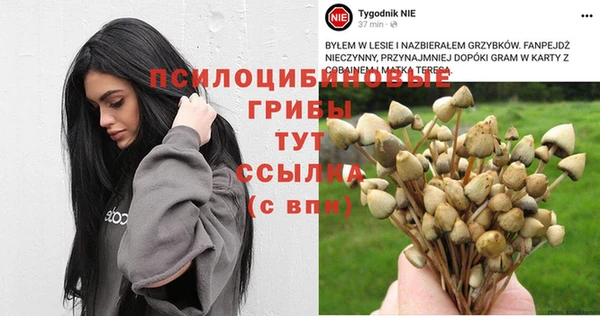 Альфа ПВП Абинск