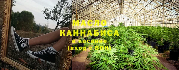 тгк Абаза