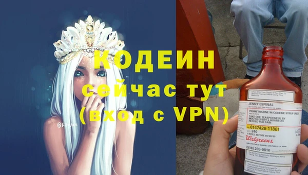 тгк Абаза